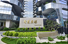 广东中成实业控股集团